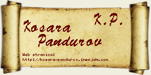 Kosara Pandurov vizit kartica